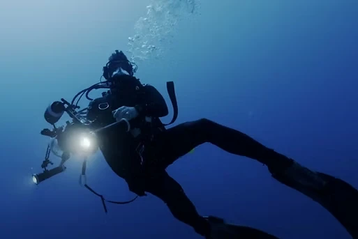 Underwater field work during a documentary dive