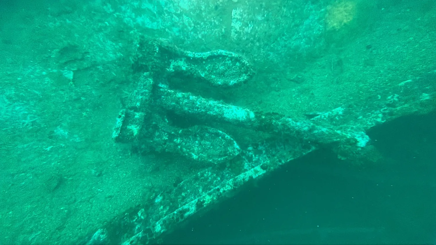 Bell Island shipwreck
