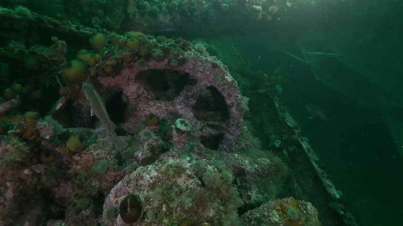Shipwreck